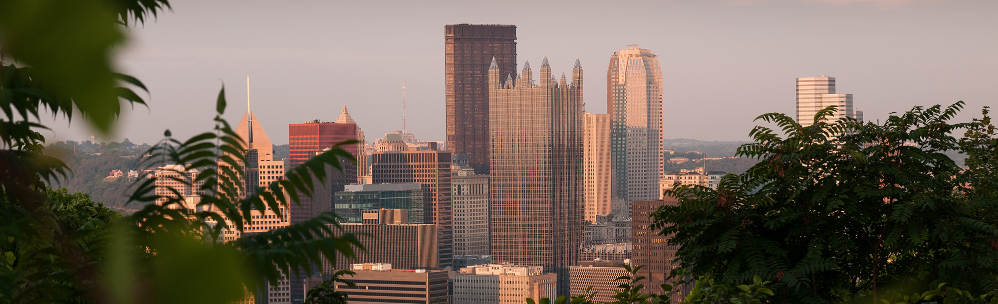 Pittsburgh Skyline behind green foliage.
